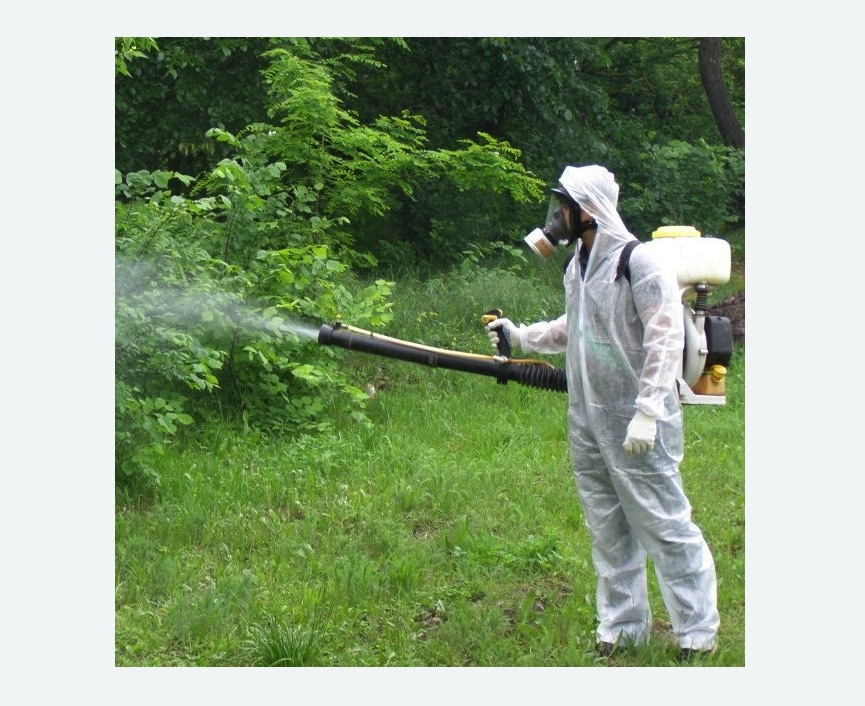 обработка территории от клещей в Карабаново