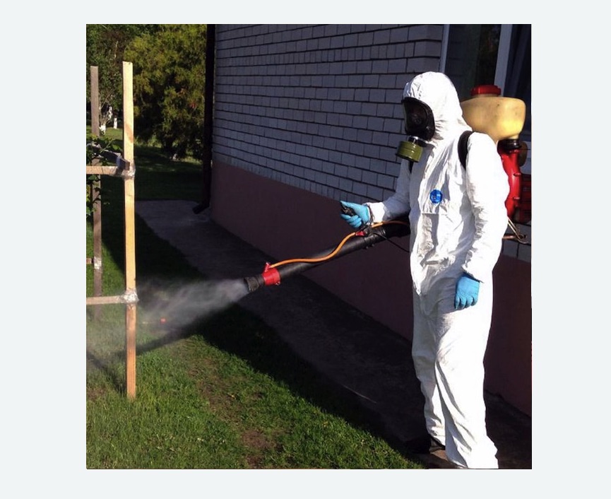 травля клещей на участке в Карабаново