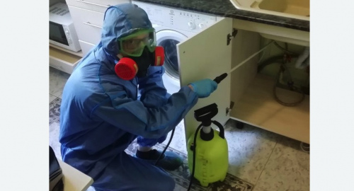 Уничтожение муравьев в квартире. Карабаново