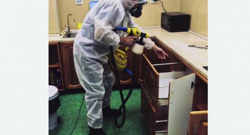 Дезинсекция квартиры. Карабаново