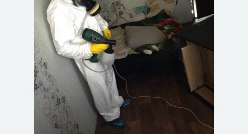 Дезинсекция помещения в Карабаново