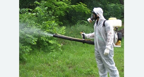 Дезинфекция территории от клещей. Карабаново