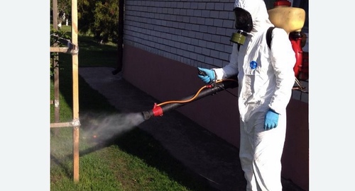 Уничтожение клещей на участке в Карабаново