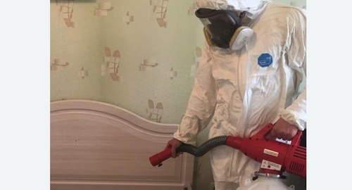 Уничтожение клещей в квартире. Карабаново