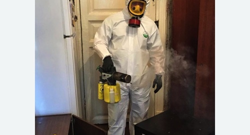Дезинфекция от муравьев в квартире в Карабаново