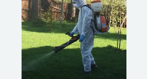 Обработка участка от клещей в Карабаново