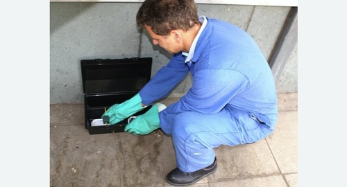 Уничтожение мышей в квартире в Карабаново