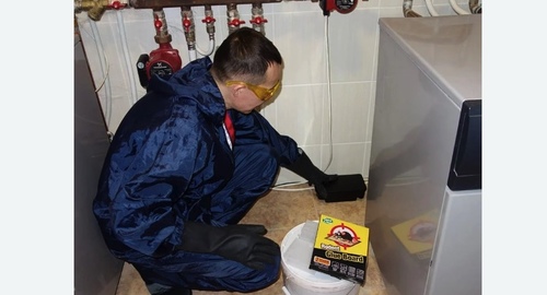 Дератизация крыс. Карабаново