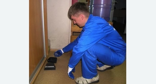 Обработка от крыс в Карабаново