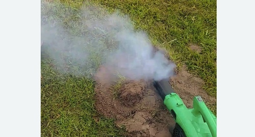 Обработка от кротов в Карабаново