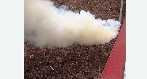 Уничтожение кротов на участке в Карабаново