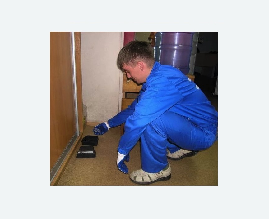 Дератизация крыс в Карабаново