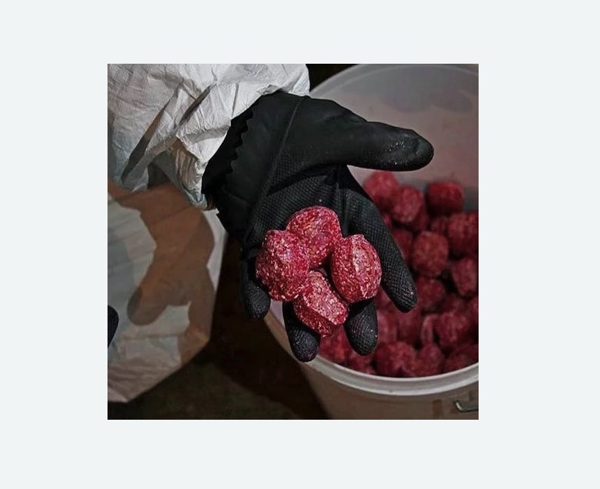 Обработка от крыс в Карабаново