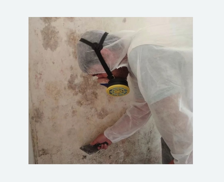 Обработка стен от плесени в Карабаново