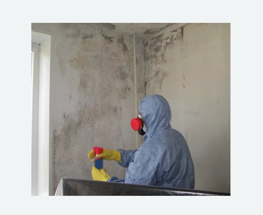 Удаление плесени в квартире в Карабаново