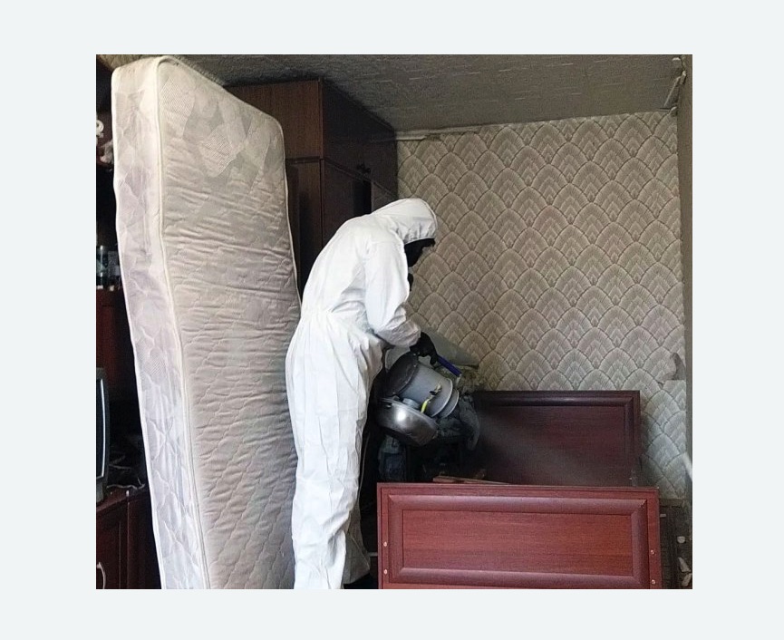 дезинфекция от клопов в Карабаново