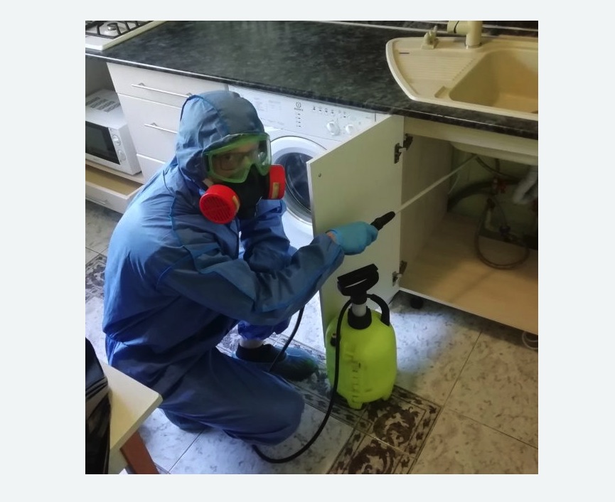 обработка от муравьев в квартире в Карабаново