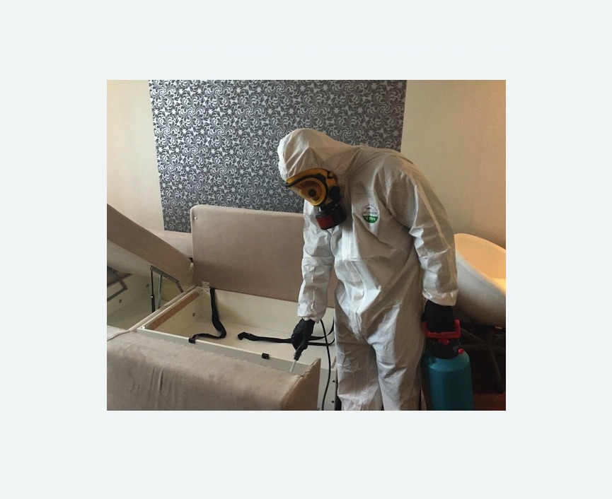 уничтожение клопов в квартире в Карабаново