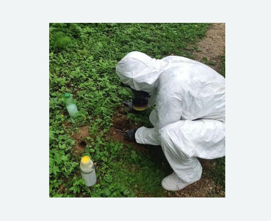 уничтожение кротов на участке в Карабаново