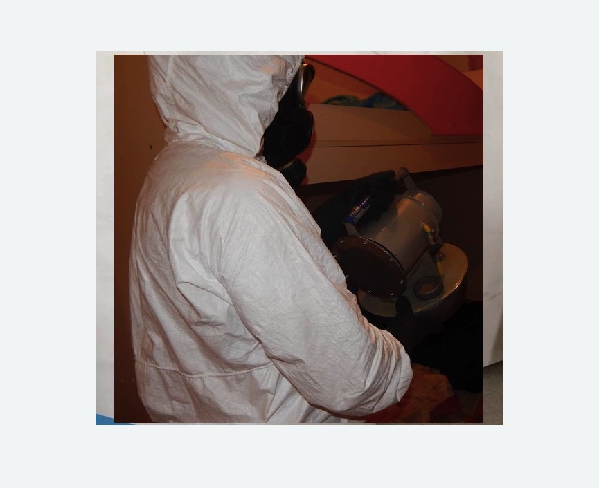 Дезинфекция от муравьев в Карабаново