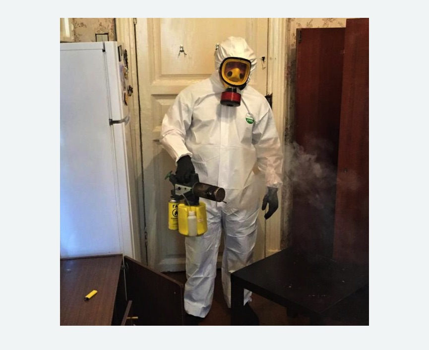 уничтожение муравьев в квартире в Карабаново